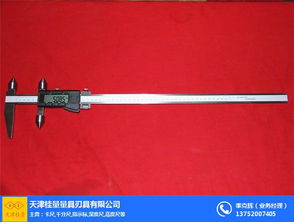 桂量量具非標(biāo)現(xiàn)貨 中心距卡尺 廣州中心距卡尺