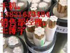 船用網(wǎng)絡(luò)雙電線電纜_船用網(wǎng)絡(luò)雙電線電纜供貨商_供應(yīng)船用網(wǎng)絡(luò)雙屏蔽電線電纜/廠家銷售_船用網(wǎng)絡(luò)雙電線電纜價(jià)格_江蘇紅旗電纜制造
